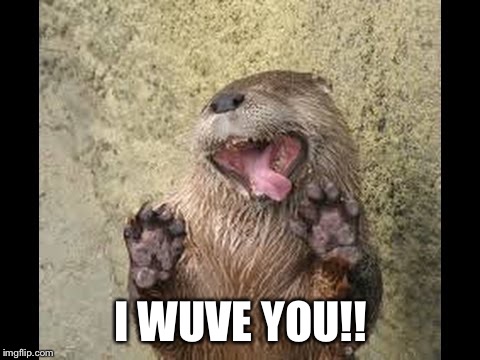 I WUVE YOU!! | image tagged in beaver in love | made w/ Imgflip meme maker