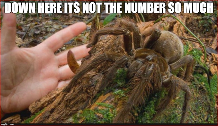 DOWN HERE ITS NOT THE NUMBER SO MUCH | made w/ Imgflip meme maker