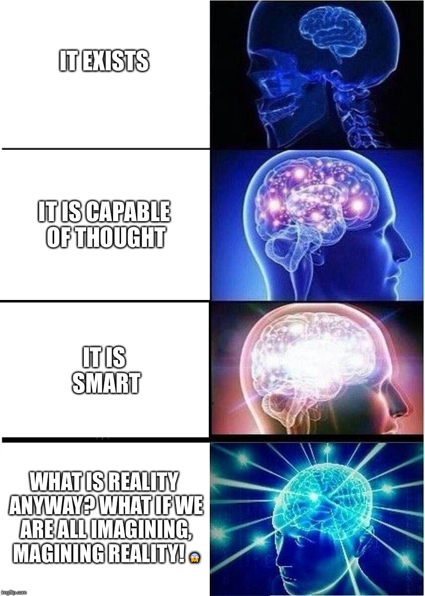 Expanding Brain | IT EXISTS; IT IS CAPABLE OF THOUGHT; IT IS SMART; WHAT IS REALITY ANYWAY? WHAT IF WE ARE ALL IMAGINING, MAGINING REALITY! 😱 | image tagged in memes,expanding brain | made w/ Imgflip meme maker