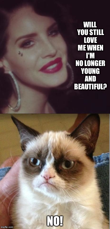image tagged in memes,grumpy cat,funny | made w/ Imgflip meme maker