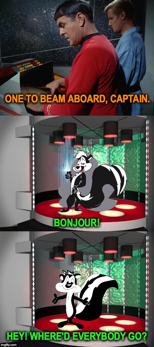 Transporter Malfunction | ONE TO BEAM ABOARD, CAPTAIN. BONJOUR! HEY! WHERE'D EVERYBODY GO? | image tagged in stinker on board | made w/ Imgflip meme maker