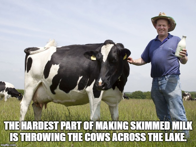 THE HARDEST PART OF MAKING SKIMMED MILK IS THROWING THE COWS ACROSS THE LAKE. | image tagged in milk | made w/ Imgflip meme maker