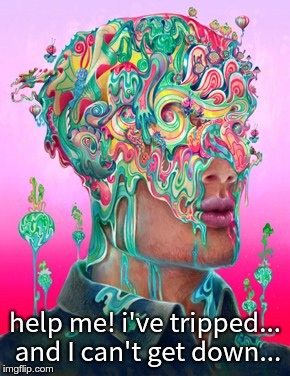 help me! i've tripped... and I can't get down... | image tagged in melting acid brain | made w/ Imgflip meme maker