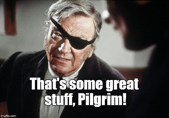 John Wayne | That's some great stuff, Pilgrim! | image tagged in john wayne | made w/ Imgflip meme maker