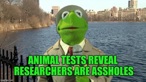 Kermit News Report | ANIMAL TESTS REVEAL RESEARCHERS ARE ASSHOLES | image tagged in kermit news report | made w/ Imgflip meme maker