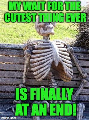 Waiting Skeleton Meme | MY WAIT FOR THE CUTEST THING EVER IS FINALLY AT AN END! | image tagged in memes,waiting skeleton | made w/ Imgflip meme maker