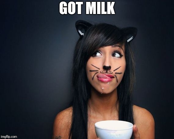  GOT MILK | image tagged in cute kitty | made w/ Imgflip meme maker