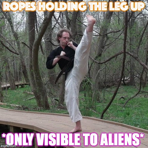 prof dr subjectmatterstian alienologist | ROPES HOLDING THE LEG UP; *ONLY VISIBLE TO ALIENS* | image tagged in overly enthusiastic martial artist,memes,the most interesting man in yhe jungle,jungle gym,yah,imgflip | made w/ Imgflip meme maker