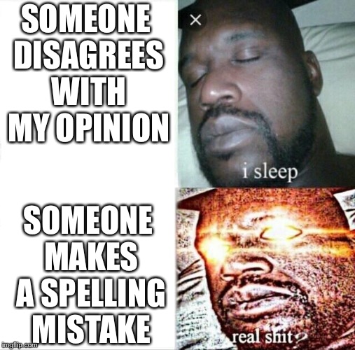 Grammar nazi shaq | SOMEONE DISAGREES WITH MY OPINION; SOMEONE MAKES A SPELLING MISTAKE | image tagged in memes,sleeping shaq,grammar nazi | made w/ Imgflip meme maker