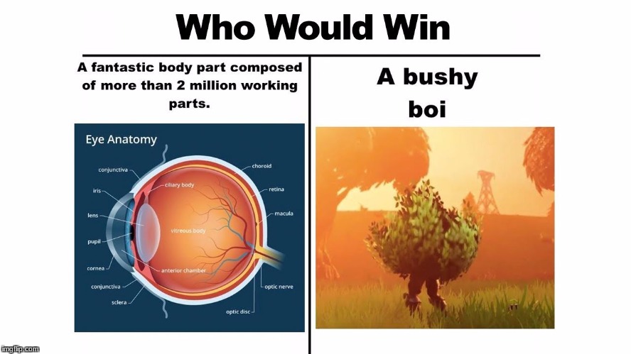 Bushy boi | image tagged in bush camper,fortnite meme | made w/ Imgflip meme maker