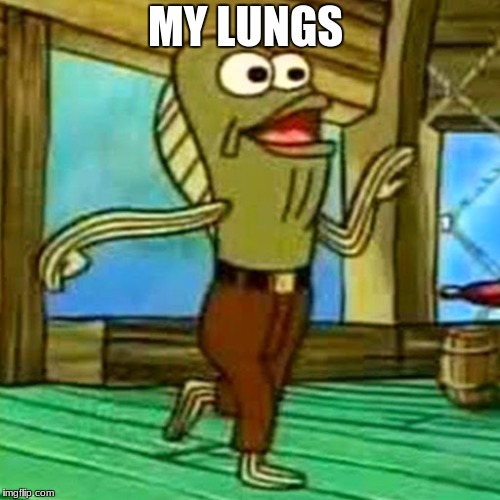 my leg | MY LUNGS | image tagged in my leg | made w/ Imgflip meme maker