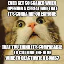 scared cat | EVER GET SO SCARED WHEN OPENING A CEREAL BAG THAT IT'S GONNA RIP OR EXPLODE; THAT YOU THINK IT'S COMPARABLE TO CUTTING THE BLUE WIRE TO DEACTIVATE A BOMB? | image tagged in scared cat | made w/ Imgflip meme maker