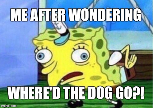 Mocking Spongebob Meme | ME AFTER WONDERING WHERE'D THE DOG GO?! | image tagged in memes,mocking spongebob | made w/ Imgflip meme maker