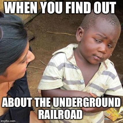 Third World Skeptical Kid Meme | WHEN YOU FIND OUT; ABOUT THE UNDERGROUND RAILROAD | image tagged in memes,third world skeptical kid | made w/ Imgflip meme maker