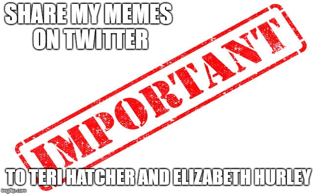 I need all of your attention | SHARE MY MEMES ON TWITTER; TO TERI HATCHER AND ELIZABETH HURLEY | image tagged in important | made w/ Imgflip meme maker