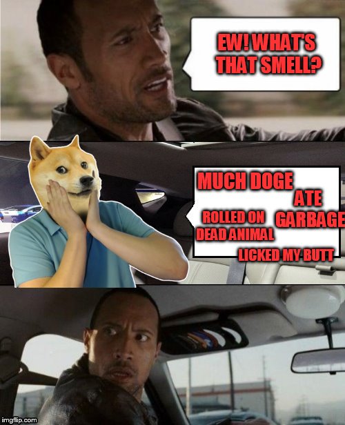 The Fast and the Furriest (Dog week May 1st to May 8th a Landon_the_memer and NikkoBellic event) | EW! WHAT'S THAT SMELL? ATE GARBAGE; MUCH DOGE; ROLLED ON DEAD ANIMAL; LICKED MY BUTT | image tagged in the rock driving blank 2,dog week | made w/ Imgflip meme maker