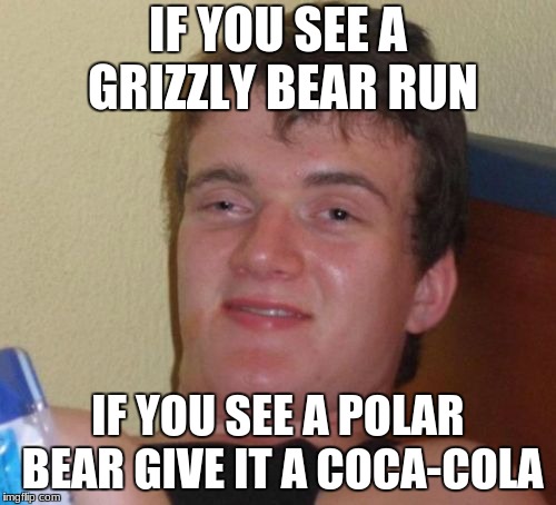 10 Guy | IF YOU SEE A GRIZZLY BEAR RUN; IF YOU SEE A POLAR BEAR GIVE IT A COCA-COLA | image tagged in memes,10 guy | made w/ Imgflip meme maker