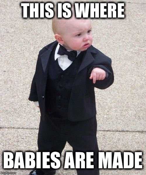 Baby Godfather | THIS IS WHERE; BABIES ARE MADE | image tagged in memes,baby godfather | made w/ Imgflip meme maker