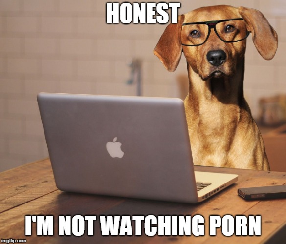 HONEST; I'M NOT WATCHING PORN | made w/ Imgflip meme maker