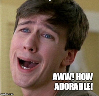 AWW! HOW ADORABLE! | made w/ Imgflip meme maker