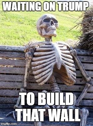 Waiting Skeleton Meme | WAITING ON TRUMP; TO BUILD THAT WALL | image tagged in memes,waiting skeleton | made w/ Imgflip meme maker