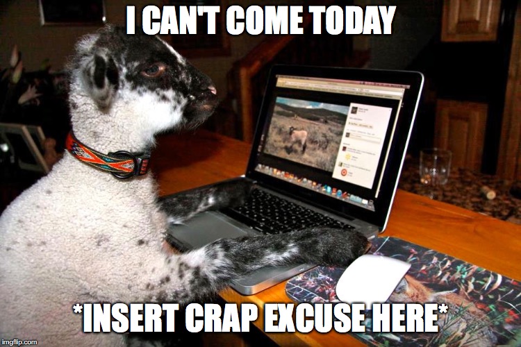Lamb Blogger | I CAN'T COME TODAY; *INSERT CRAP EXCUSE HERE* | image tagged in lamb blogger | made w/ Imgflip meme maker