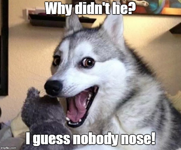 Why didn't he? I guess nobody nose! | made w/ Imgflip meme maker