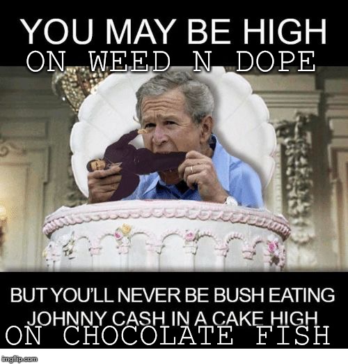 Thats the way it goes... | ON WEED N DOPE; ON CHOCOLATE FISH | image tagged in george bush in cake high,diamond cut memes | made w/ Imgflip meme maker