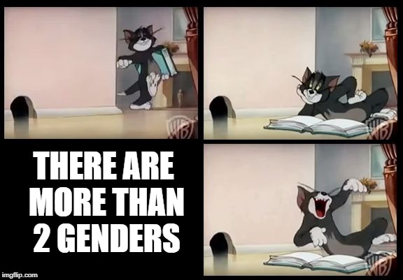 No but really | THERE ARE MORE THAN 2 GENDERS | image tagged in tom and jerry book,memes,funny,genders | made w/ Imgflip meme maker