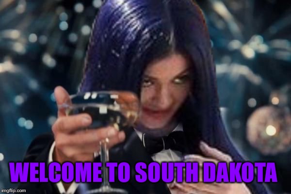 Kylie Cheers | WELCOME TO SOUTH DAKOTA | image tagged in kylie cheers | made w/ Imgflip meme maker