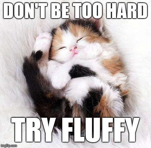 Be Kind | DON'T BE TOO HARD; TRY FLUFFY | image tagged in cute kitten,cute,kitten,adorable,comfort,fluffy | made w/ Imgflip meme maker