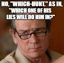 my face when someone asks a stupid question | NO, "WHICH-HUNT." AS IN, "WHICH ONE OF HIS LIES WILL DO HIM IN?" | image tagged in my face when someone asks a stupid question | made w/ Imgflip meme maker