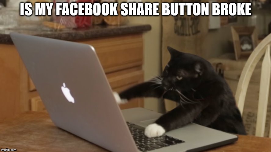 Furiously Typing Cat | IS MY FACEBOOK SHARE BUTTON BROKE | image tagged in furiously typing cat | made w/ Imgflip meme maker