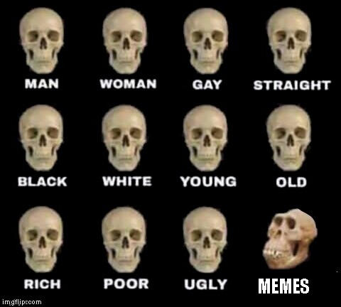 idiot skull | MEMES | image tagged in idiot skull | made w/ Imgflip meme maker