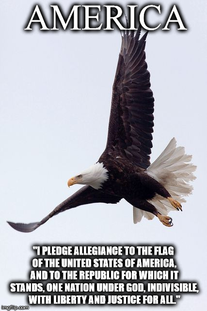 AMERICA; "I PLEDGE ALLEGIANCE TO THE FLAG OF THE UNITED STATES OF AMERICA, AND TO THE REPUBLIC FOR WHICH IT STANDS, ONE NATION UNDER GOD, INDIVISIBLE, WITH LIBERTY AND JUSTICE FOR ALL." | image tagged in free3 | made w/ Imgflip meme maker