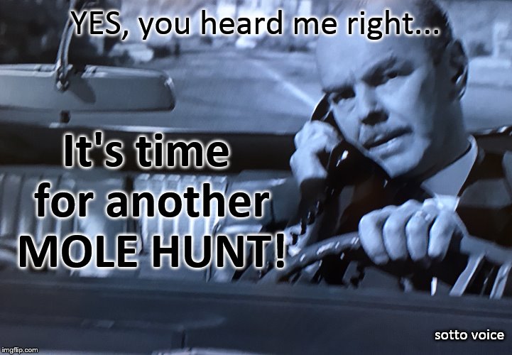 Car Phone | YES, you heard me right... It's time for another MOLE HUNT! sotto voice | image tagged in car phone | made w/ Imgflip meme maker