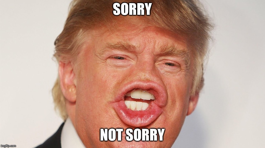 SORRY NOT SORRY | made w/ Imgflip meme maker