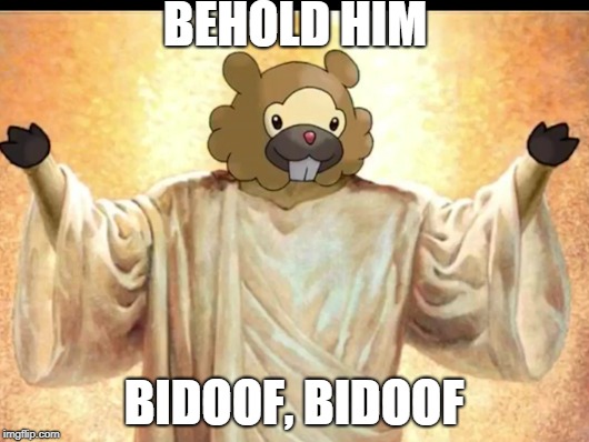 Lord And Savior, Bidoof | BEHOLD HIM; BIDOOF, BIDOOF | image tagged in lord,savior | made w/ Imgflip meme maker