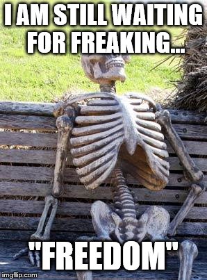 Waiting Skeleton | I AM STILL WAITING FOR FREAKING... "FREEDOM" | image tagged in memes,waiting skeleton | made w/ Imgflip meme maker