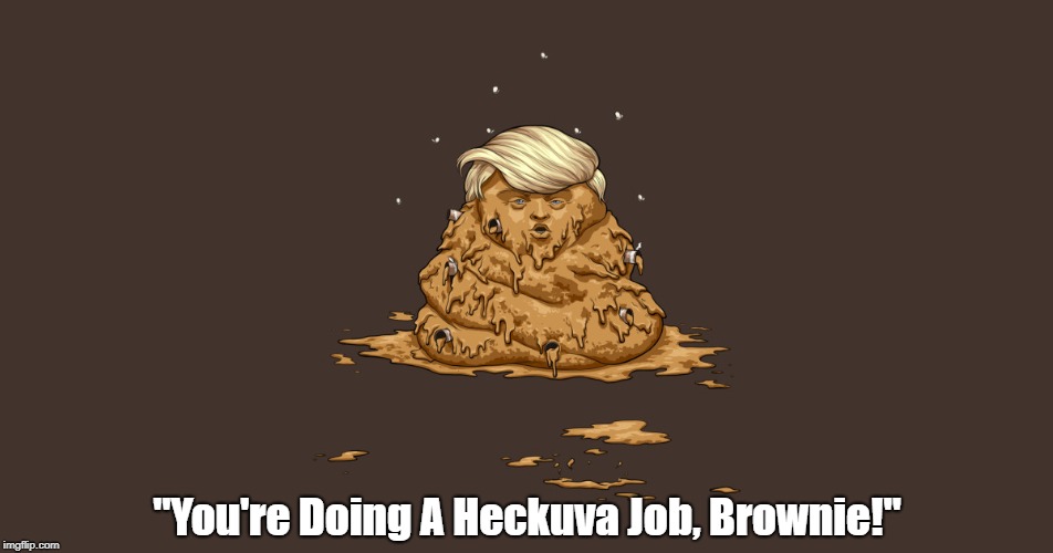 "You're Doing A Heckuva Job, Brownie!" | "You're Doing A Heckuva Job, Brownie!" | image tagged in deplorable donald,despicable donald,detestable donald,heckuva job brownie,dishonest donald,dishonorable donald | made w/ Imgflip meme maker