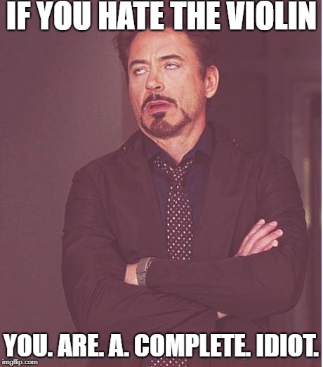 Face You Make Robert Downey Jr Meme | IF YOU HATE THE VIOLIN; YOU. ARE. A. COMPLETE. IDIOT. | image tagged in memes,face you make robert downey jr | made w/ Imgflip meme maker