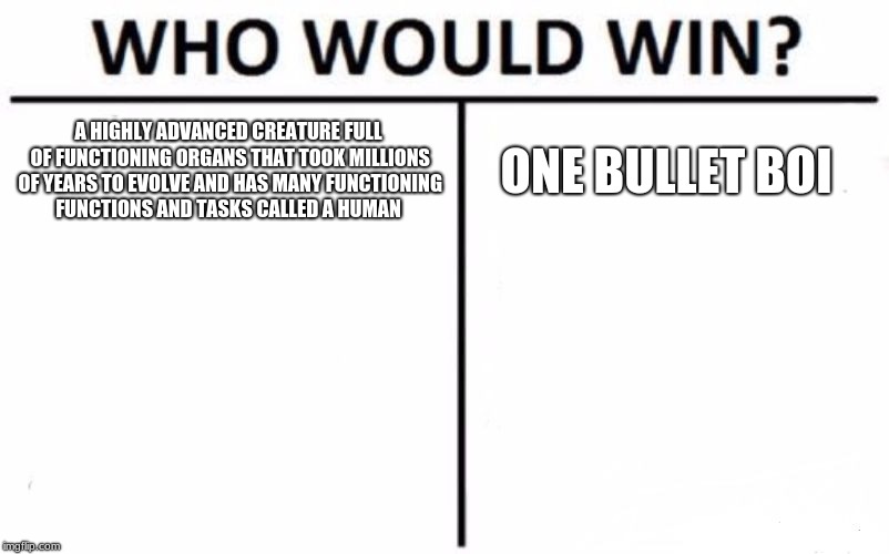 Who Would Win? | A HIGHLY ADVANCED CREATURE FULL OF FUNCTIONING ORGANS THAT TOOK MILLIONS OF YEARS TO EVOLVE AND HAS MANY FUNCTIONING FUNCTIONS AND TASKS CALLED A HUMAN; ONE BULLET BOI | image tagged in memes,who would win | made w/ Imgflip meme maker