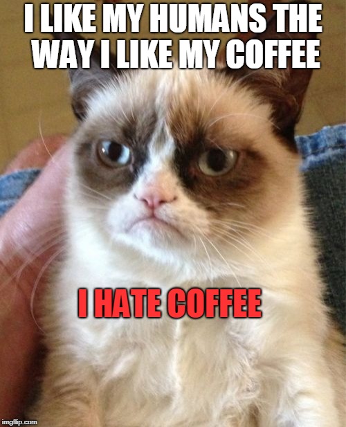 Grumpy Cat | I LIKE MY HUMANS THE WAY I LIKE MY COFFEE; I HATE COFFEE | image tagged in memes,grumpy cat | made w/ Imgflip meme maker