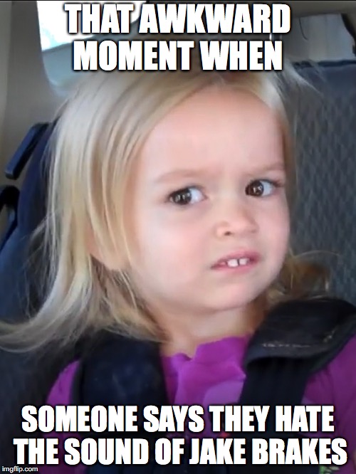 Awkward face meme | THAT AWKWARD MOMENT WHEN; SOMEONE SAYS THEY HATE THE SOUND OF JAKE BRAKES | image tagged in awkward face meme | made w/ Imgflip meme maker