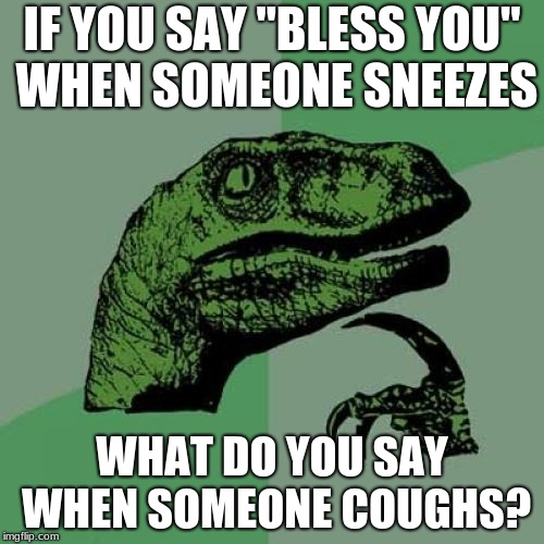 I've been wondering this all my life | IF YOU SAY "BLESS YOU" WHEN SOMEONE SNEEZES; WHAT DO YOU SAY WHEN SOMEONE COUGHS? | image tagged in memes,philosoraptor,questions,dinosaur,sneeze,cough | made w/ Imgflip meme maker