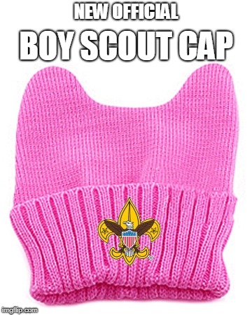Will they sell cookies? | NEW OFFICIAL; BOY SCOUT CAP | image tagged in metoo | made w/ Imgflip meme maker
