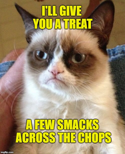 Grumpy Cat Meme | I'LL GIVE YOU A TREAT A FEW SMACKS ACROSS THE CHOPS | image tagged in memes,grumpy cat | made w/ Imgflip meme maker