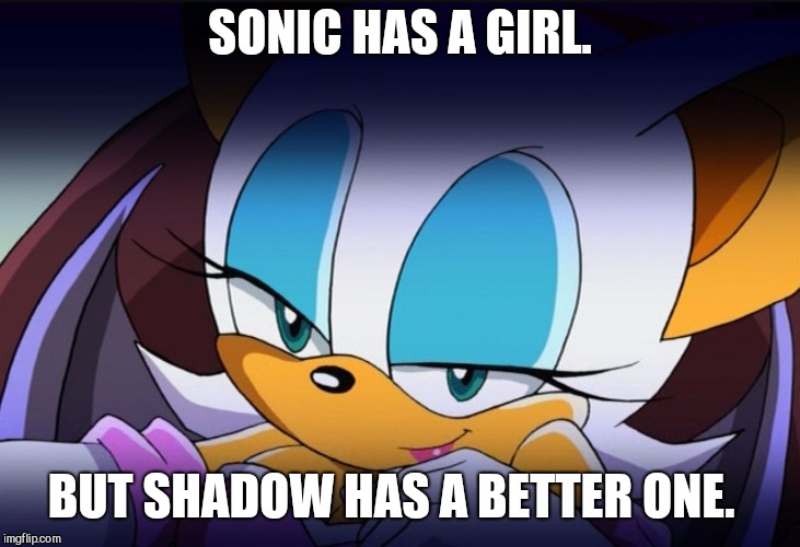 Rouge the Bat Sonic Meme | SONIC HAS A GIRL. BUT SHADOW HAS A BETTER ONE. | image tagged in rouge the bat sonic meme | made w/ Imgflip meme maker