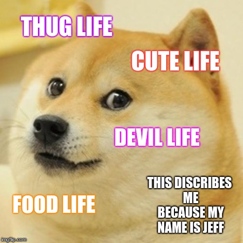 Doge | THUG LIFE; CUTE LIFE; DEVIL LIFE; THIS DISCRIBES ME BECAUSE MY NAME IS JEFF; FOOD LIFE | image tagged in memes,doge | made w/ Imgflip meme maker