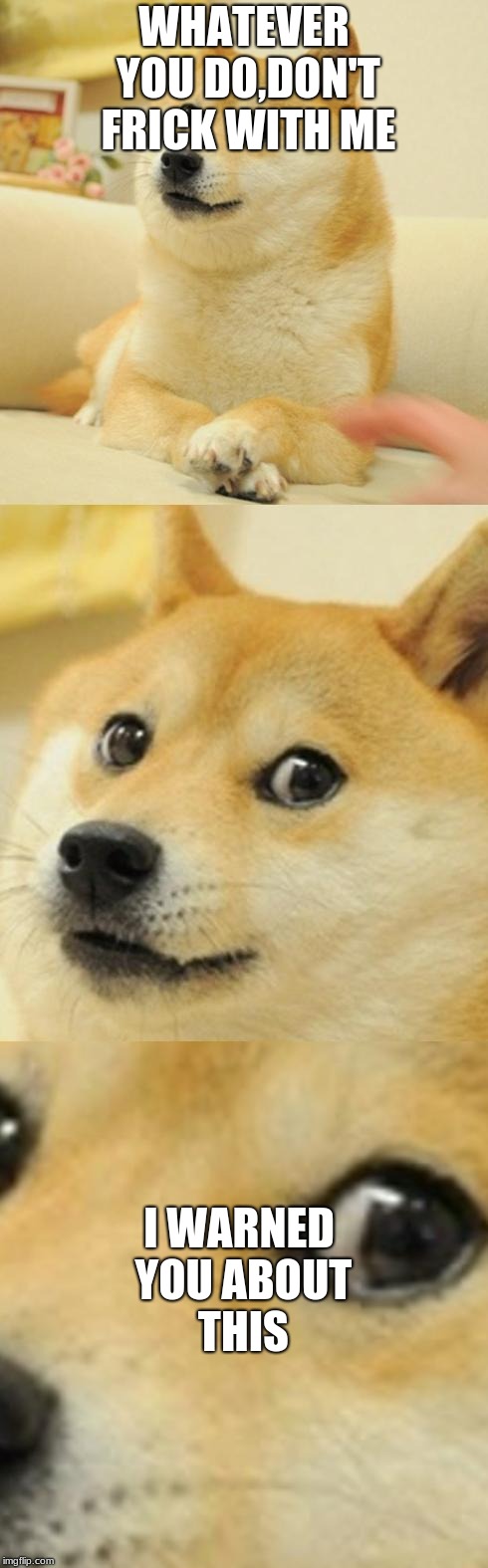 Doge Game |  WHATEVER YOU DO,DON'T FRICK WITH ME; I WARNED YOU ABOUT THIS | image tagged in doge game | made w/ Imgflip meme maker